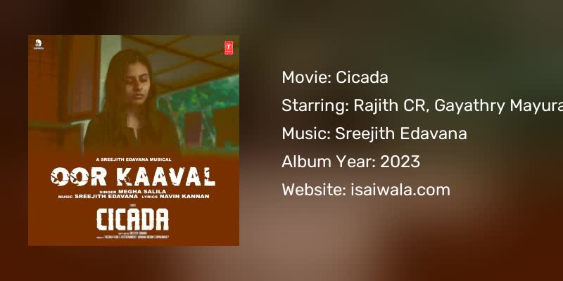Cicada Songs Download